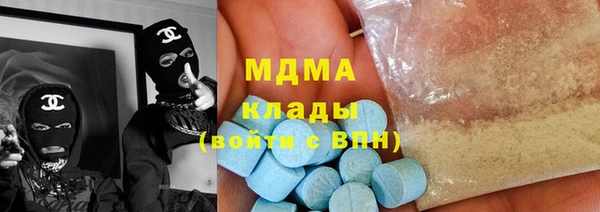 МДПВ Пересвет