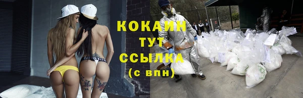 дживик Нягань