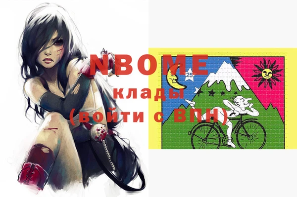 МДПВ Пересвет