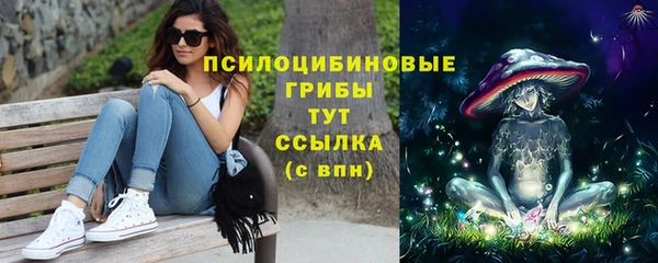 МДПВ Пересвет