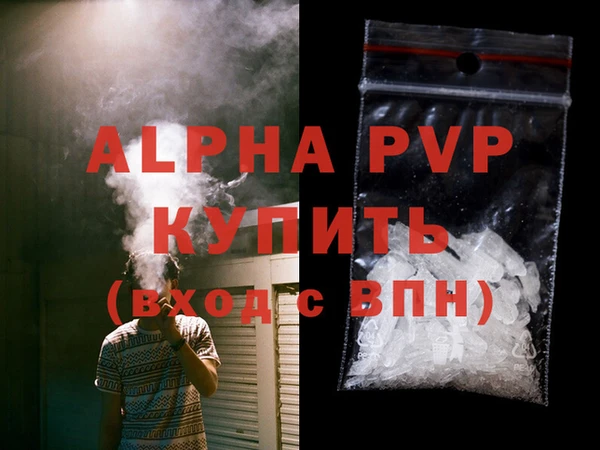 спиды Грязовец