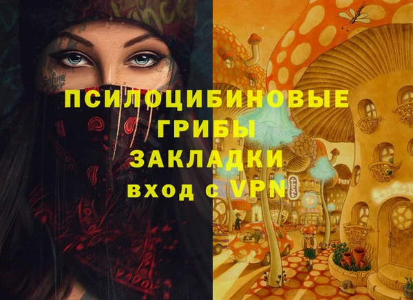 ALPHA PVP Осинники