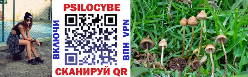 Галлюциногенные грибы Psilocybe  продажа наркотиков  kraken ONION  Кяхта 